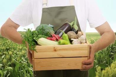 Harvesting season. Farmer holding wooden crate with crop in field, closeup