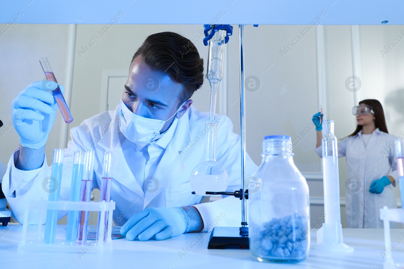 Photo of Scientist taking test tube from rack indoors. Laboratory analysis