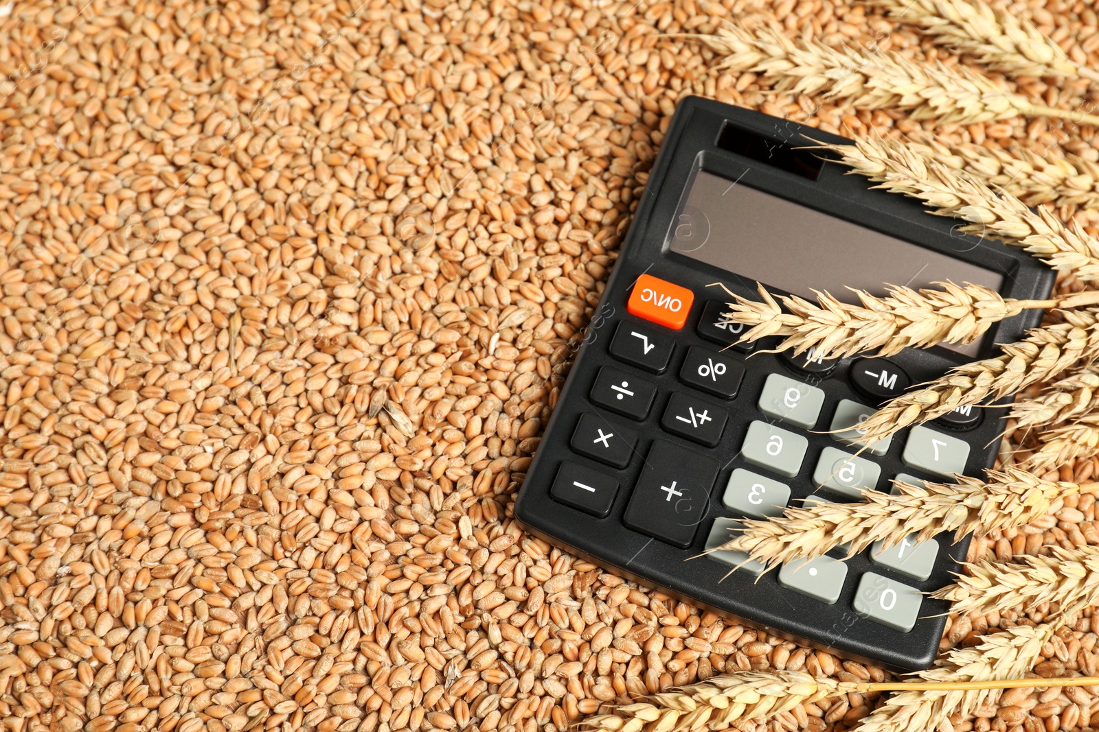 Photo of Calculator and wheat ears on grains, above view. Agricultural business