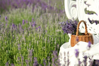 Photo of Wicker bag with beautiful lavender flowers on chair in field, space for text
