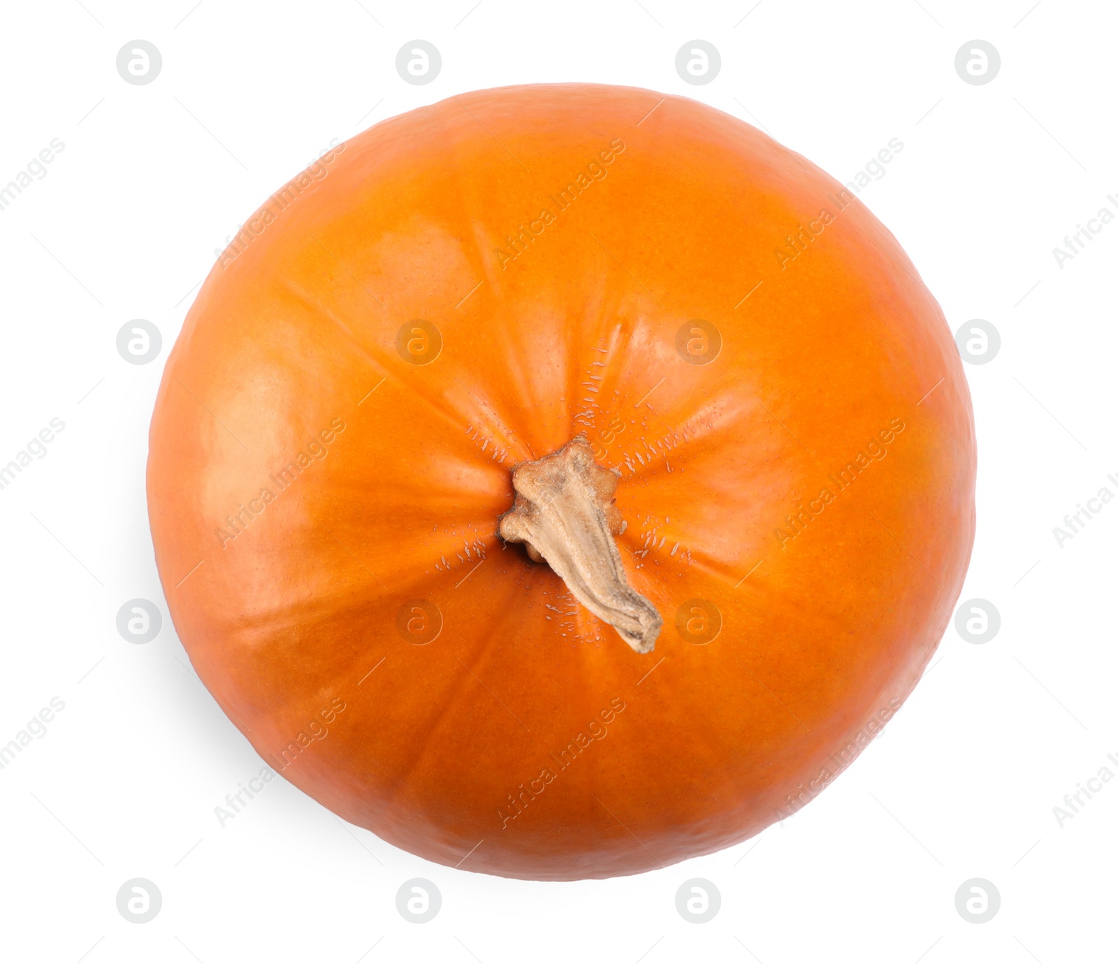Photo of One fresh orange pumpkin isolated on white, top view