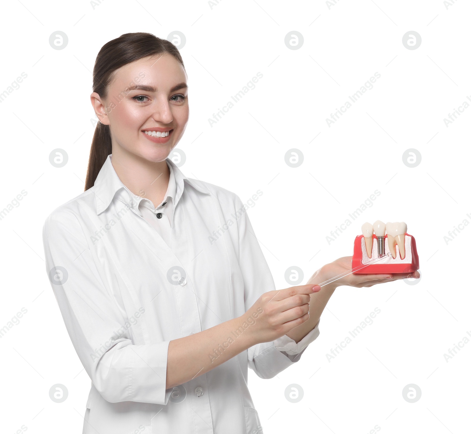 Photo of Dentist holding educational model of dental implant on white background