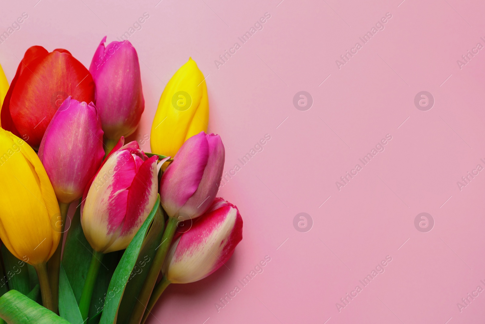 Photo of Beautiful spring tulip flowers on color background, top view. Space for text