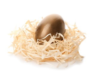Photo of Nest with golden egg on white background. Pension concept