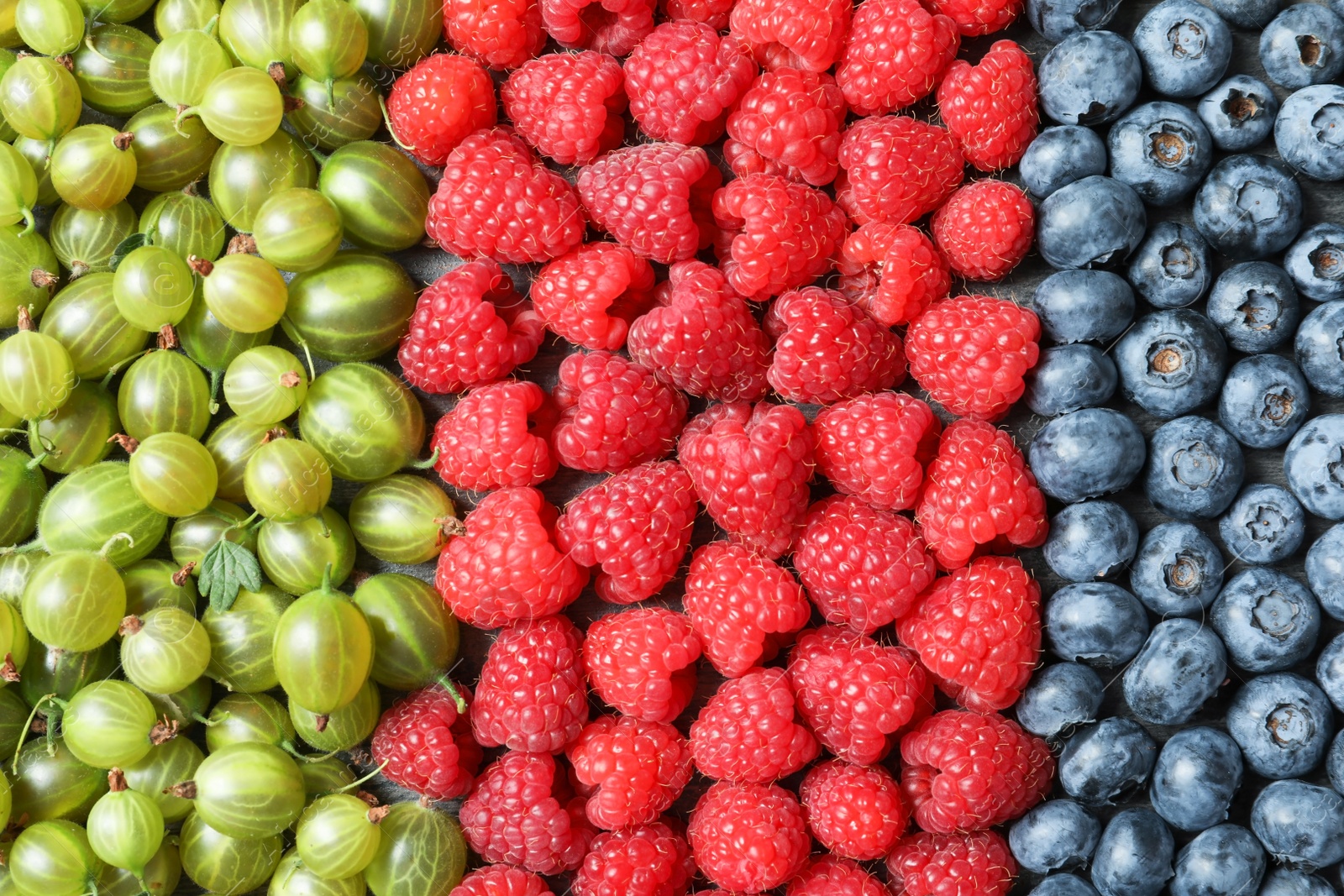 Photo of Raspberries, blueberries and gooseberries as background