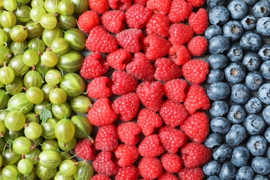 Raspberries, blueberries and gooseberries as background