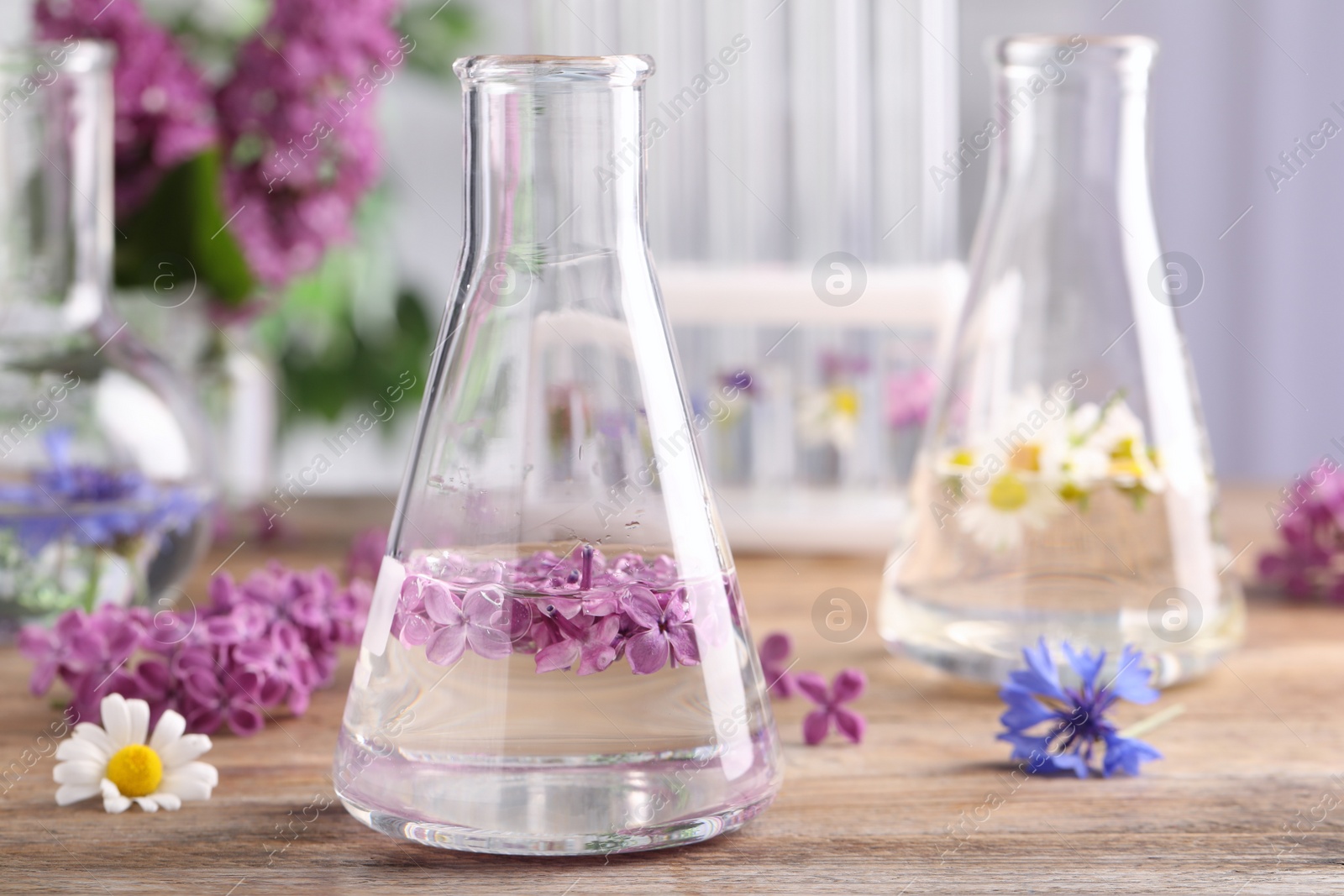 Photo of Flask with lilac flowers on wooden table, space for text. Essential oil extraction