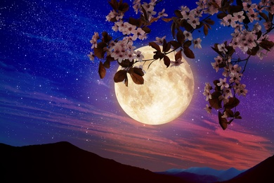 Image of Fantasy night. Blossoming cherry tree branch and starry sky with full moon on background