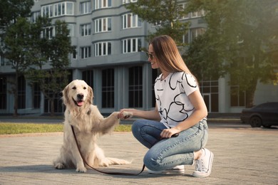 Photo of Cute golden retriever dog giving paw to young woman on pier