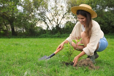 Photo of Young woman planting tree in garden, space for text