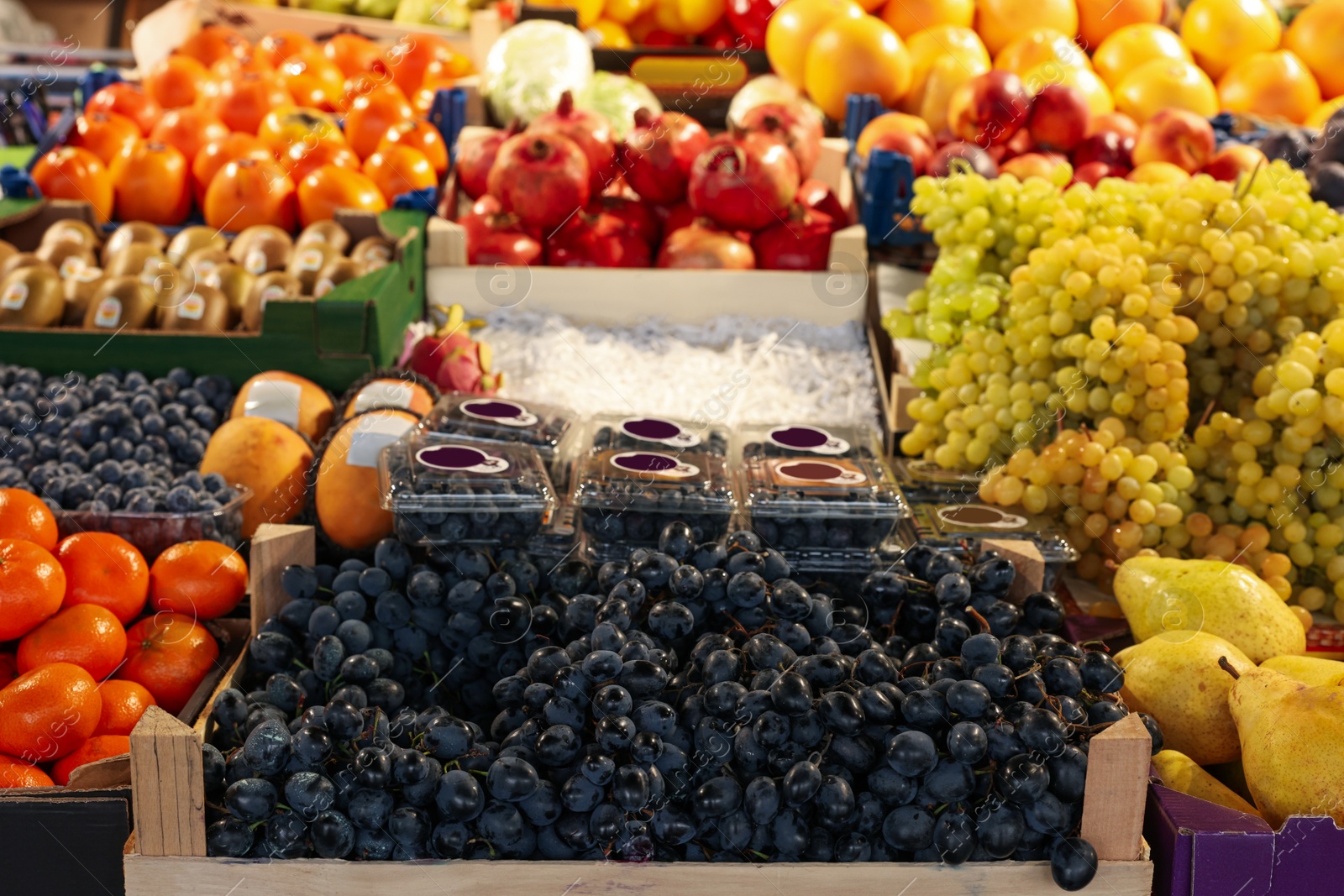 Photo of Many different fresh fruits on counter at wholesale market