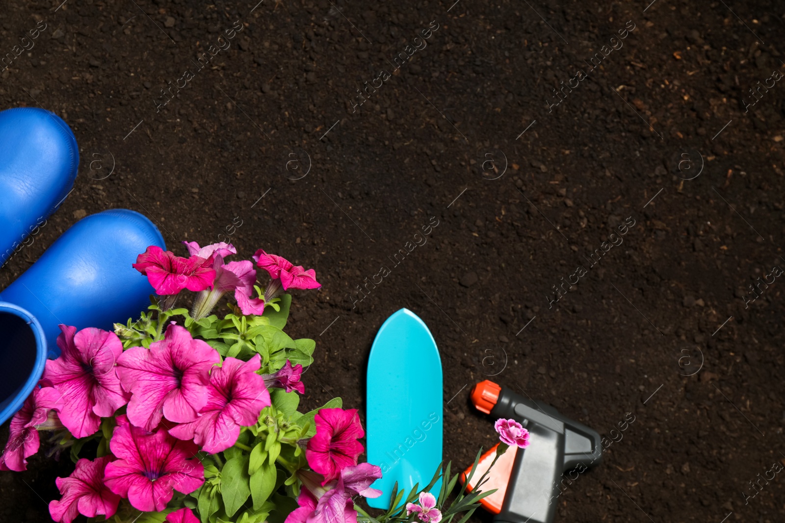 Photo of Flat lay composition with gardening tools and flowers on soil, space for text