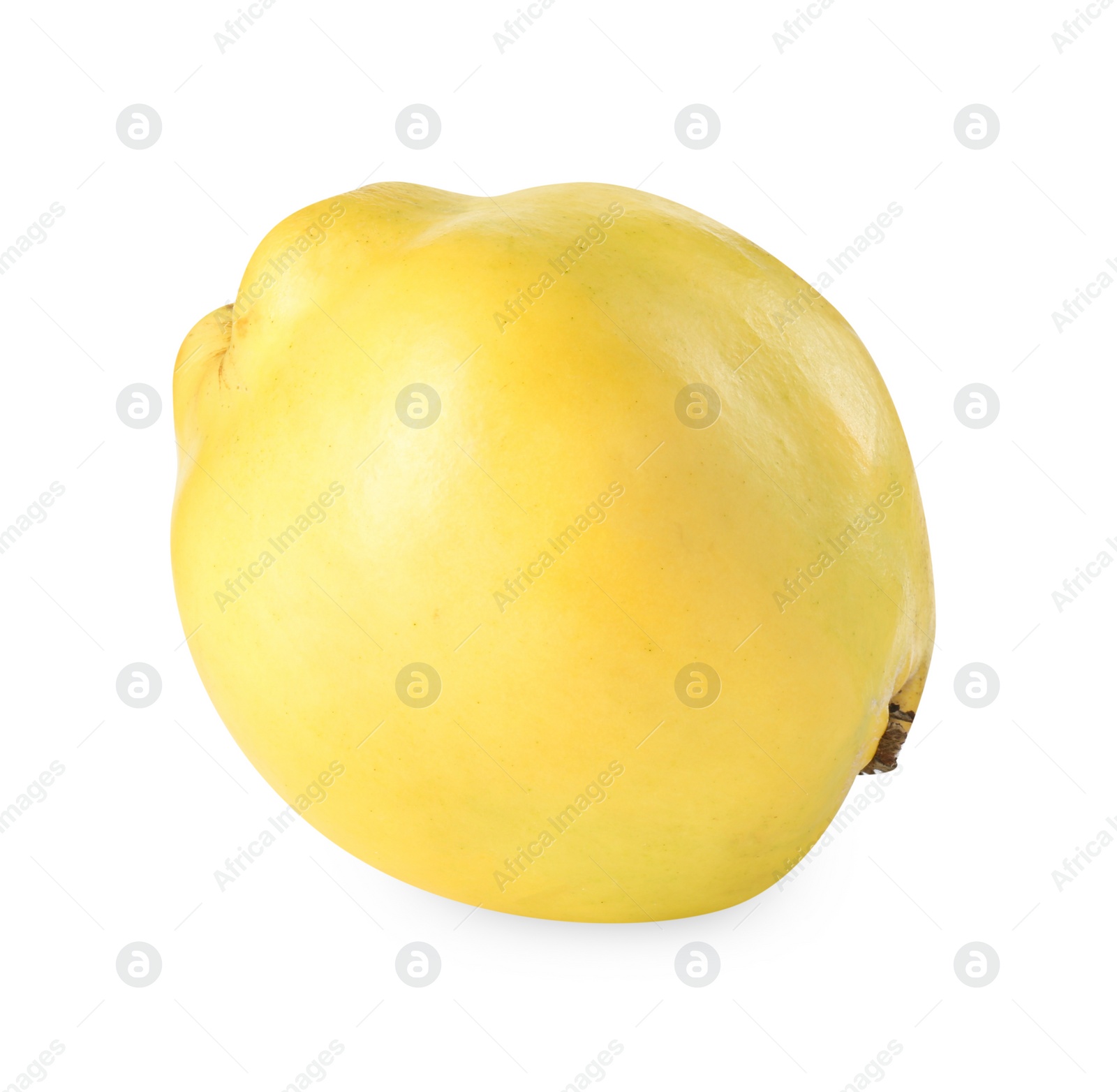 Photo of Delicious fresh ripe quince isolated on white