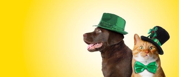 Image of St. Patrick's day celebration. Cute dog and cat in leprechaun hats on yellow background. Banner design with space for text