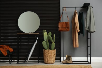 Hallway interior with stylish furniture, clothes and big houseplant