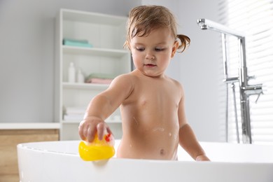 Cute little girl playing with rubber duck in bathtub at home