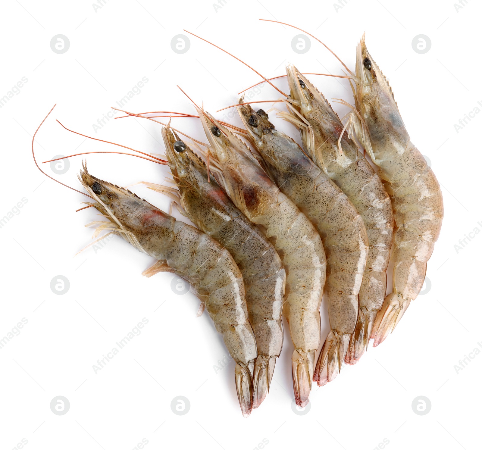 Photo of Fresh raw shrimps isolated on white, top view. Healthy seafood
