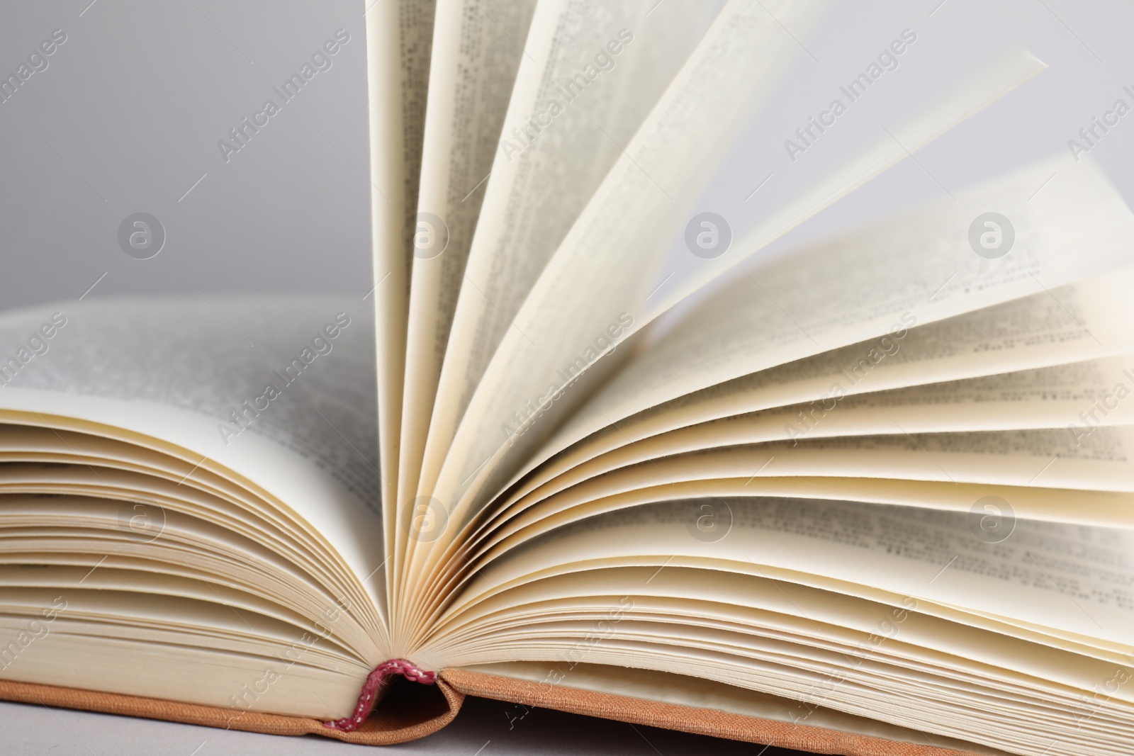 Photo of Closeup view of open book on light background