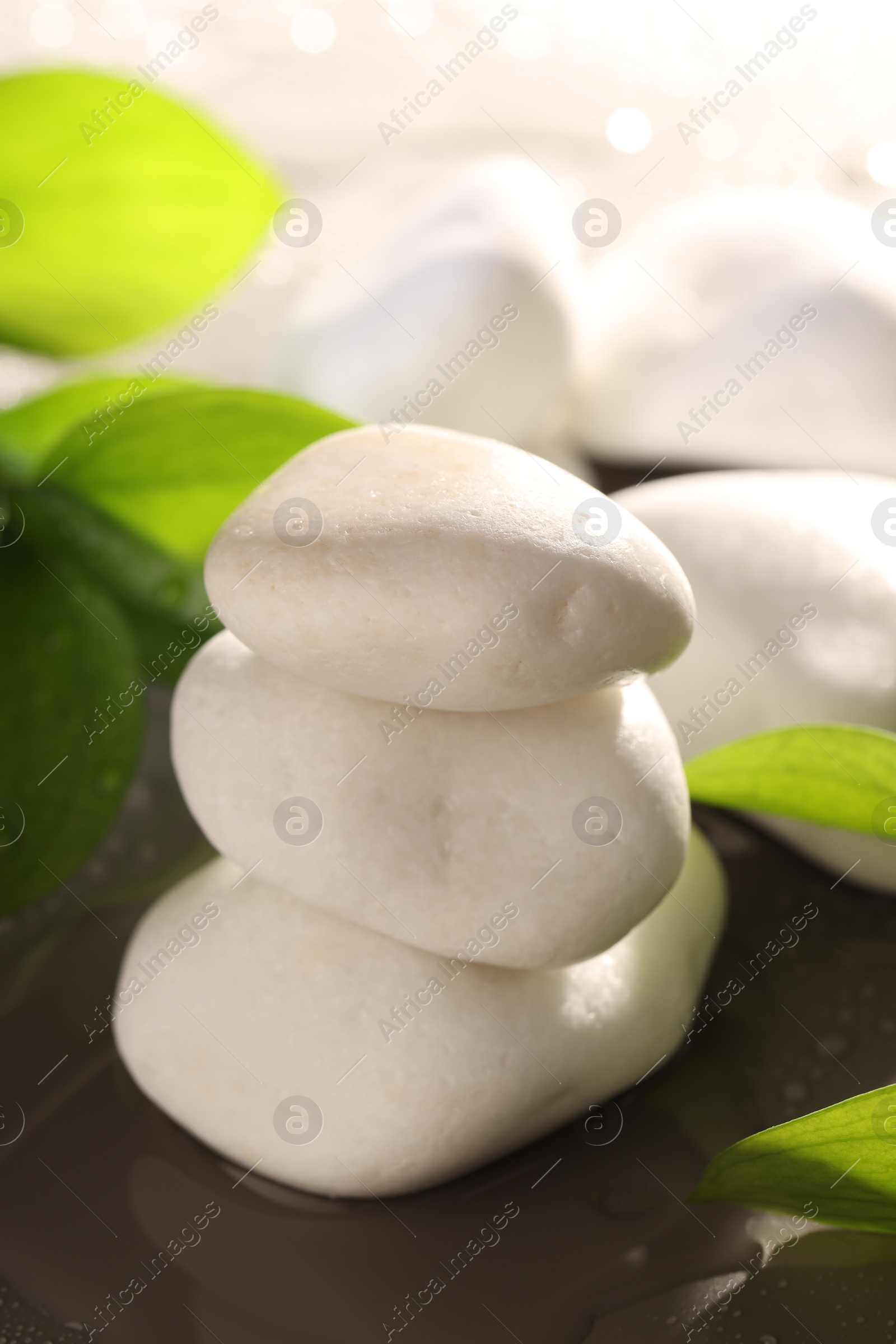 Photo of White spa stones and green leaves in water on grey background