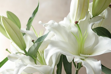 Photo of Beautiful lilies on light brown background, closeup view