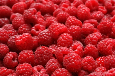 Photo of Ripe aromatic raspberries as background