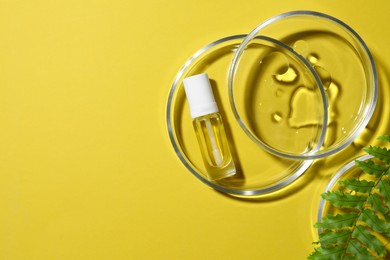 Photo of Flat lay composition with Petri dishes on yellow background. Space for text