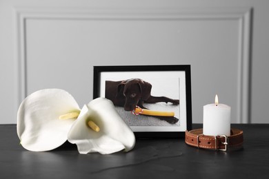 Photo of Frame with picture of dog, collar, burning candles and calla flowers on black table. Pet funeral