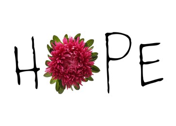 Word HOPE made with letters and beautiful aster on white background