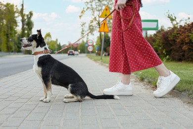 Woman walking her cute dog on city street, closeup