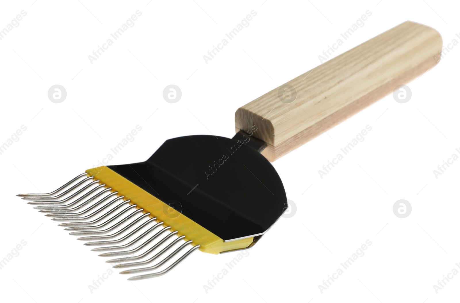 Photo of Uncapping fork isolated on white. Beekeeping tool