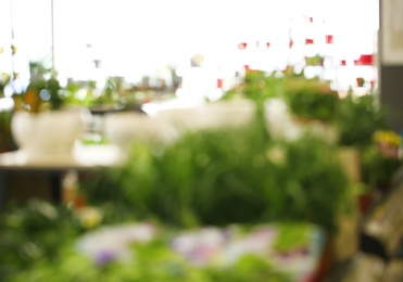 Photo of Blurred view of flower shop with tropical plants