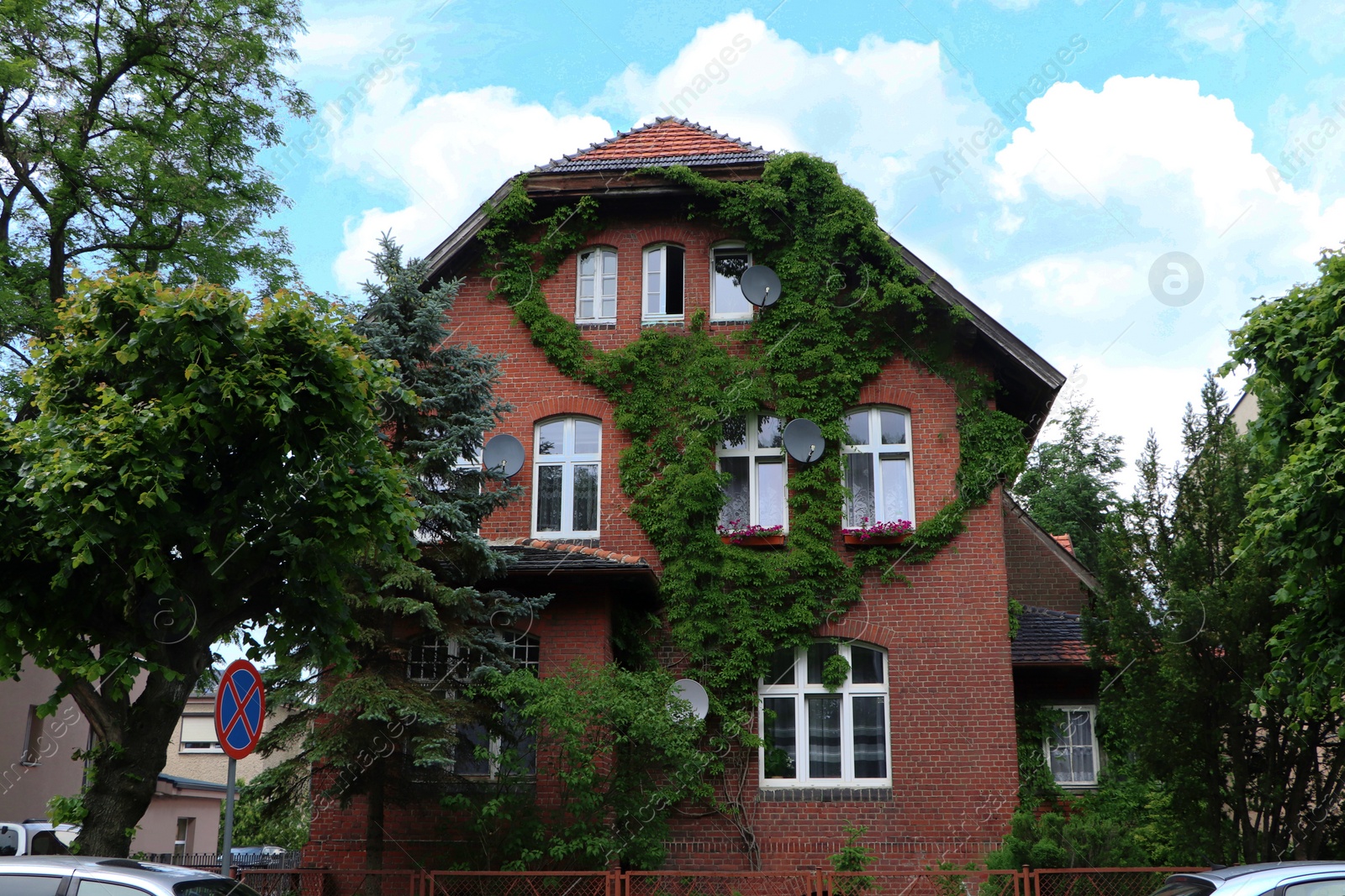 Photo of Beautiful view of modern cottage overgrown with green ivy outdoors on sunny day