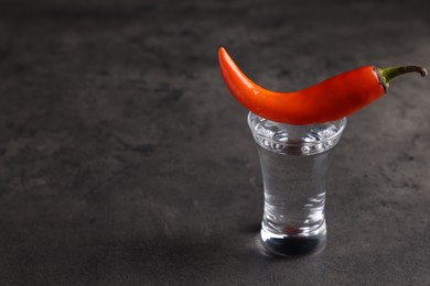 Photo of Red hot chili pepper and vodka in shot glass on grey table, space for text