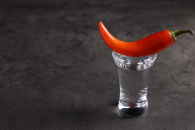 Red hot chili pepper and vodka in shot glass on grey table, space for text