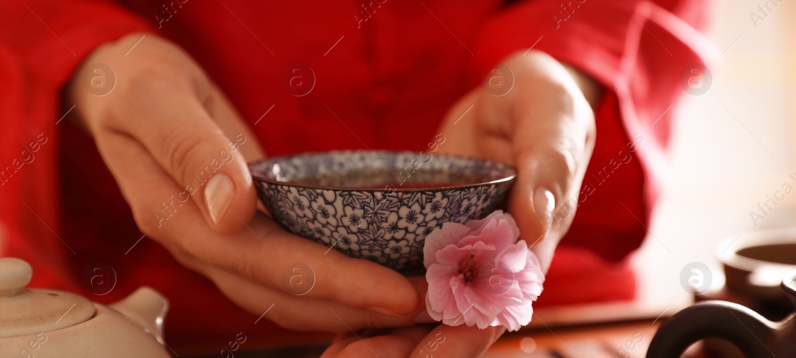 Image of Guest holding cup of freshly brewed tea and sakura flower during traditional ceremony at table indoors, closeup. Banner design
