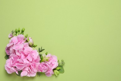 Beautiful composition with hortensia flowers on green background, flat lay. Space for text