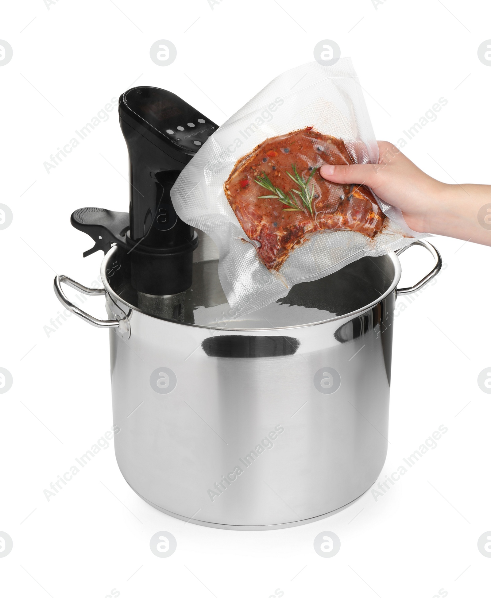 Photo of Woman putting vacuum packed meat in pot with sous vide cooker on white background, closeup