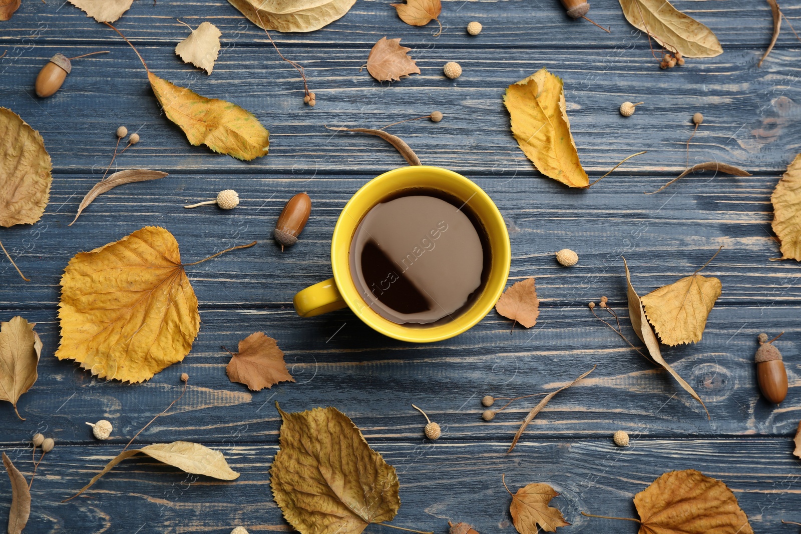 Photo of Cup of hot drink and autumn leaves on blue wooden table, flat lay. Cozy atmosphere