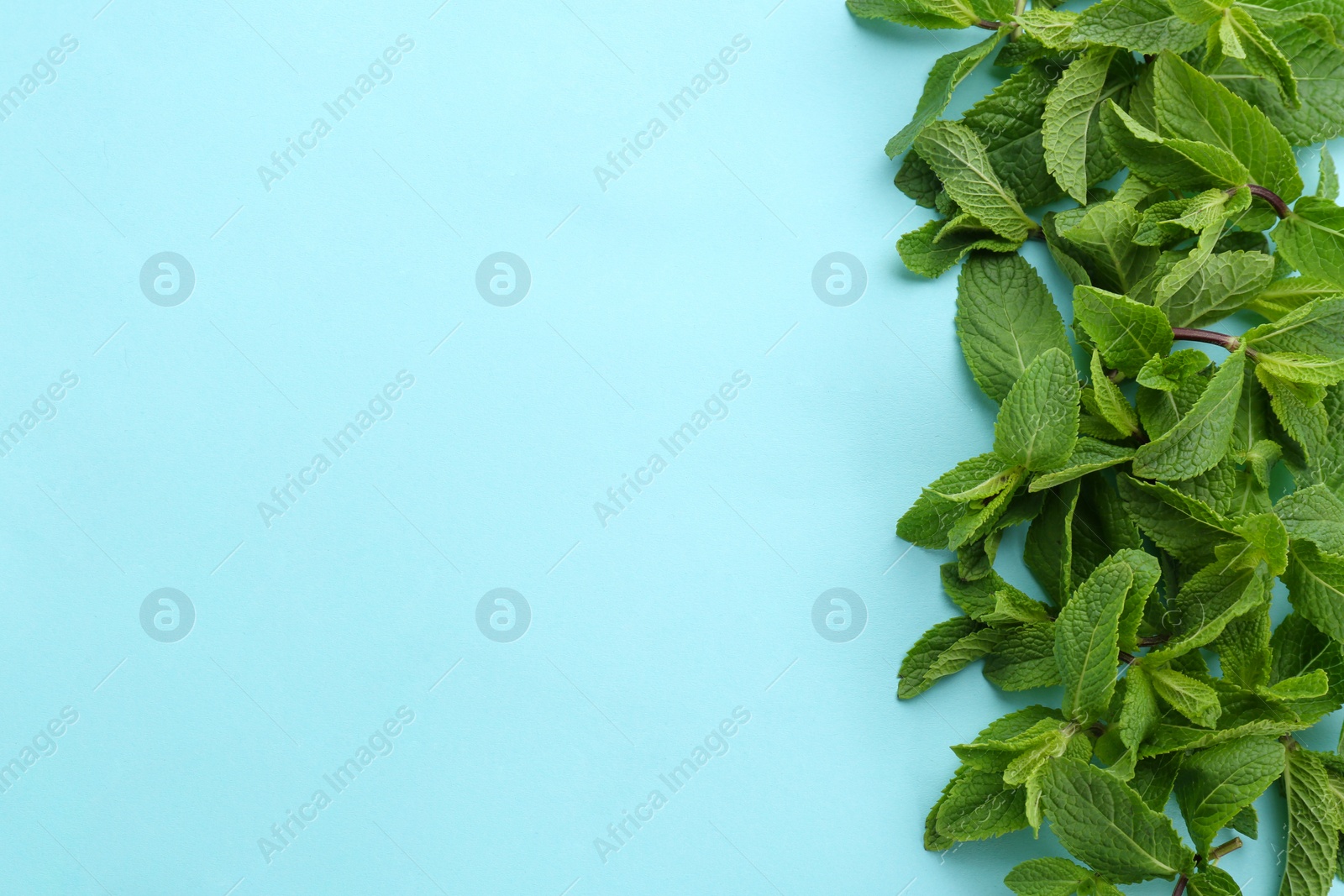 Photo of Fresh green mint leaves on color background, top view