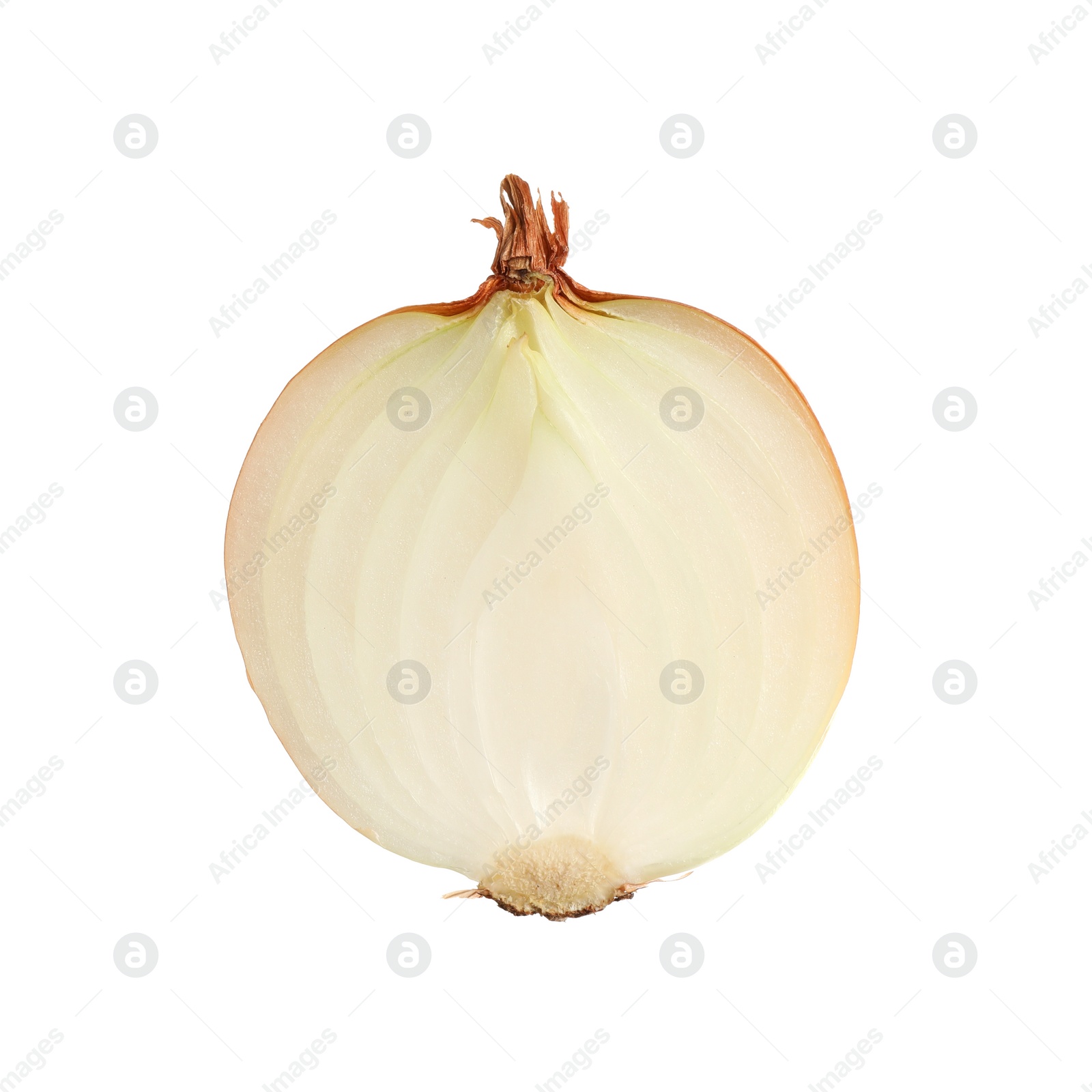 Photo of Half of fresh ripe onion isolated on white