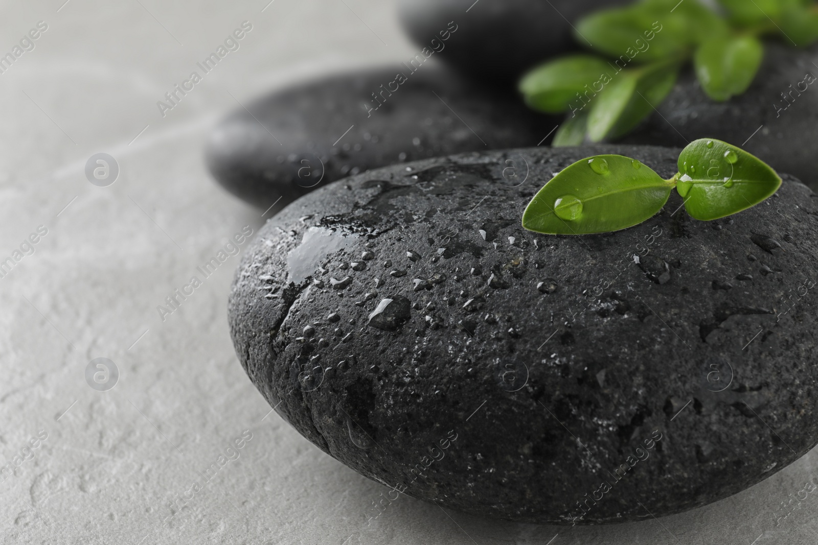 Photo of Spa stones and green leaves with water drops on grey table, space for text