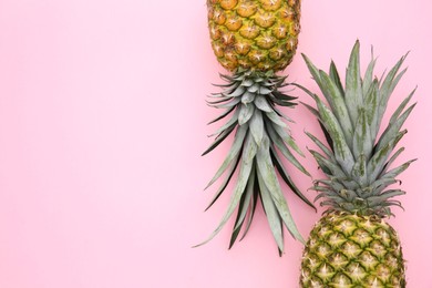 Photo of Delicious ripe pineapples on pink background, flat lay. Space for text