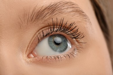 Woman with long eyelashes after mascara applying, closeup