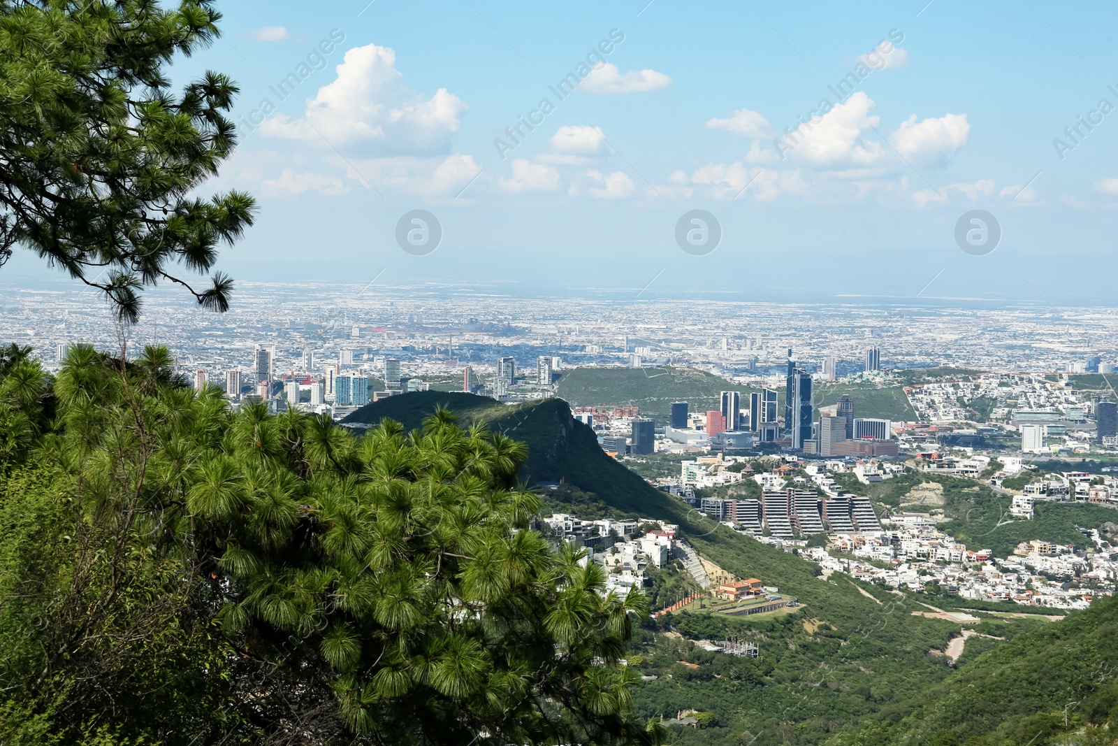 Photo of Picturesque view of city with trees and buildings under beautiful sky