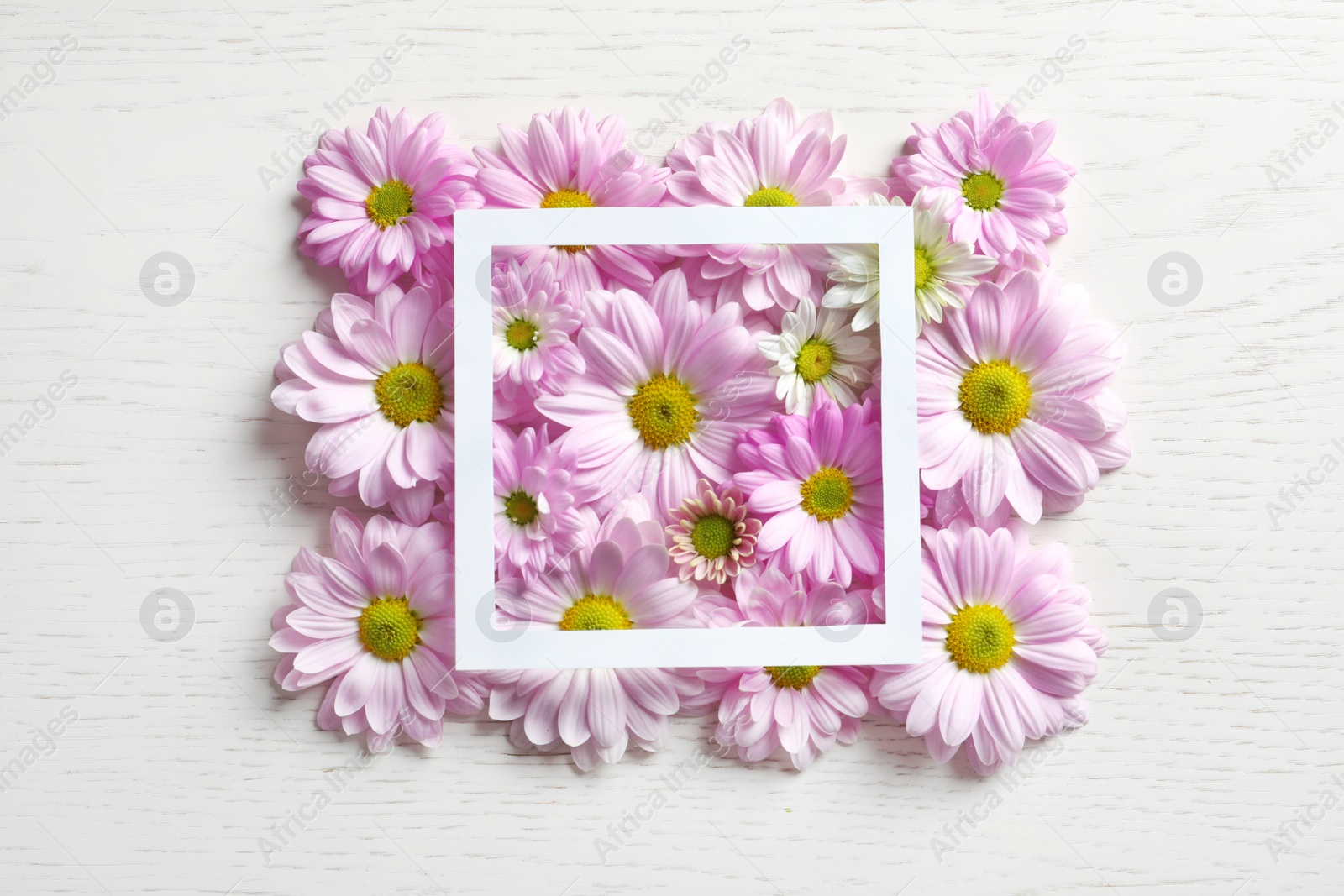 Photo of Beautiful chamomile flowers on wooden background, flat lay