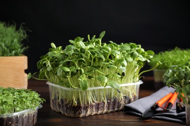 Fresh organic microgreens and gardening tools on wooden table