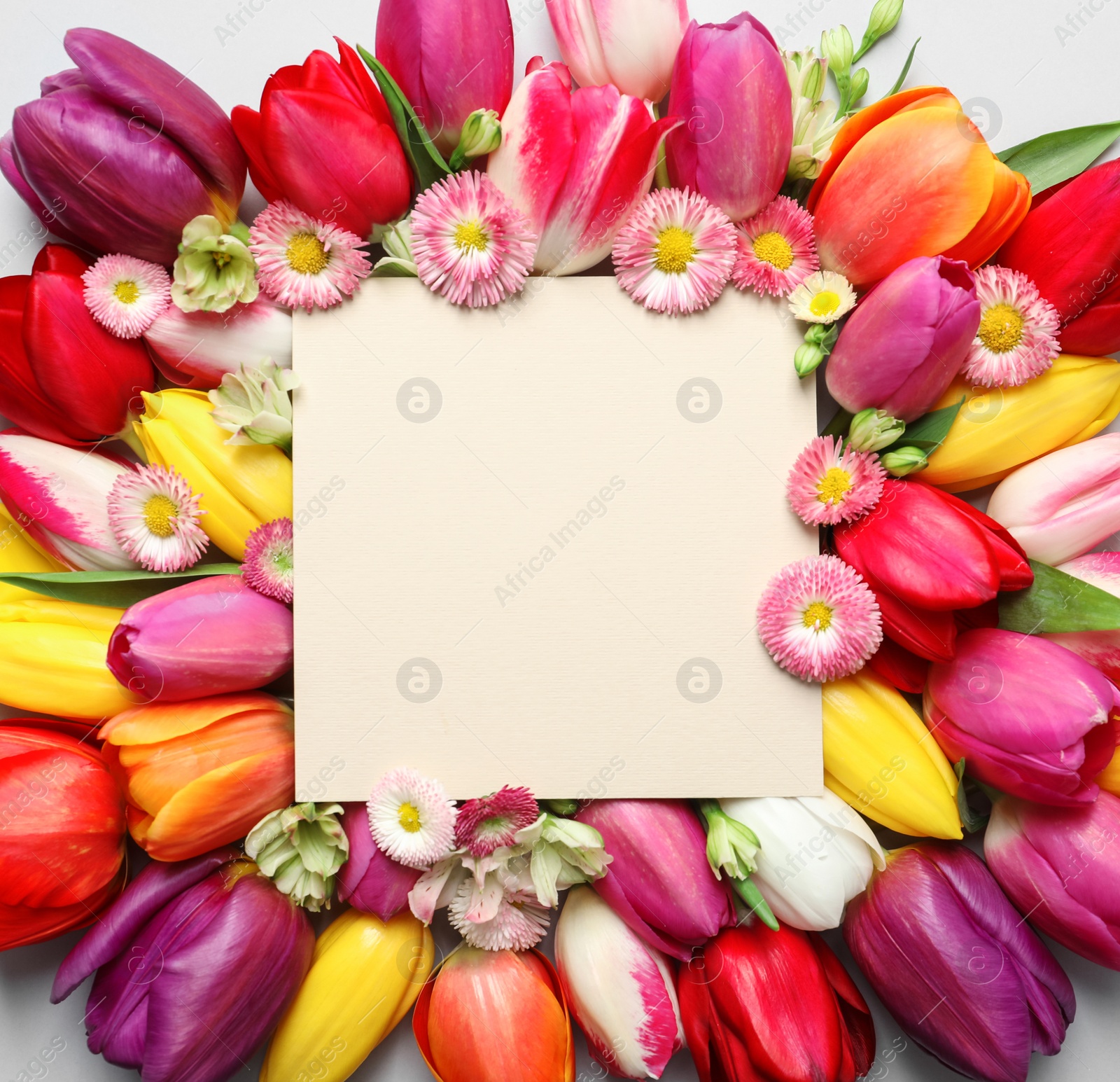 Photo of Beautiful composition with spring flowers and blank card on white background, top view. Space for text