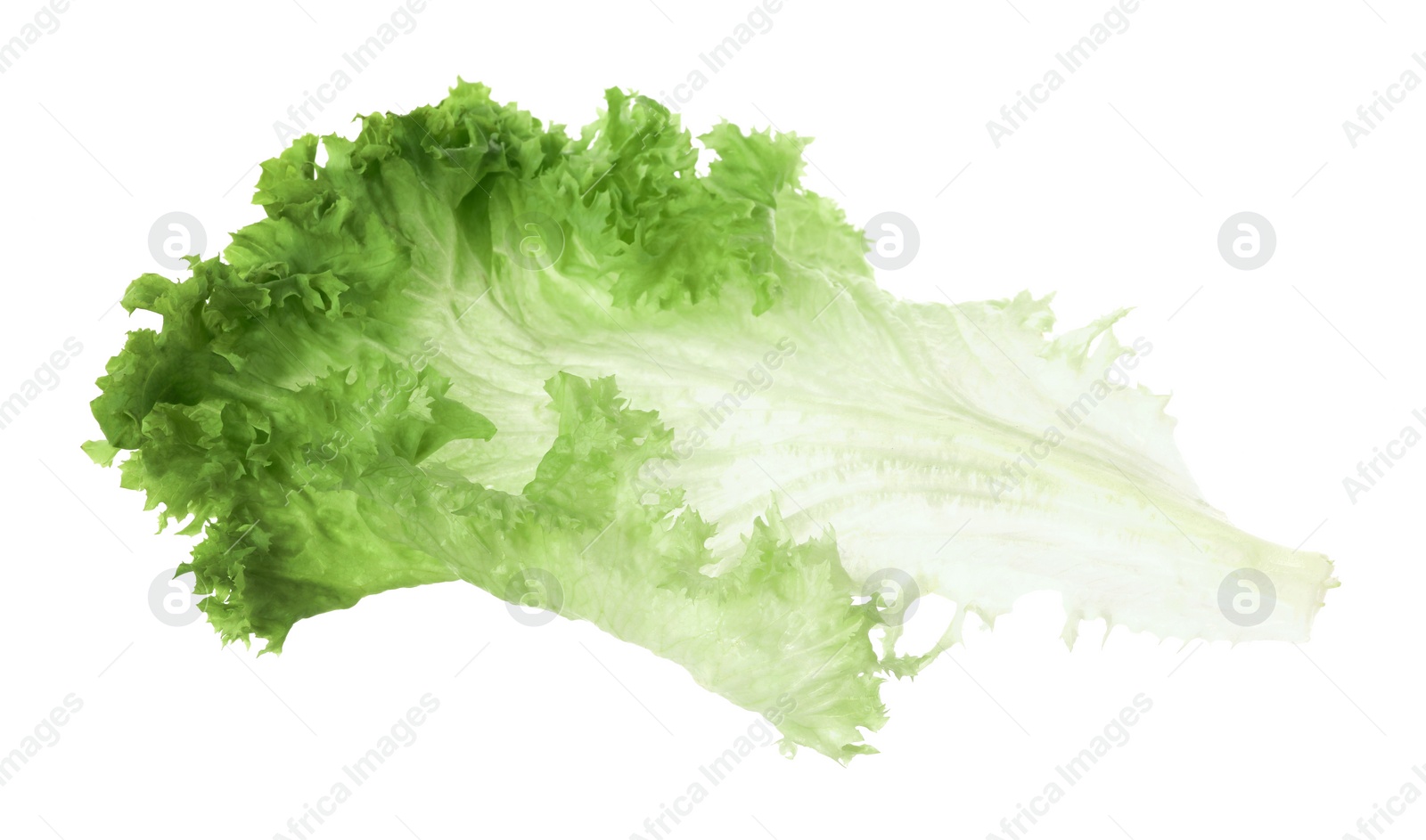 Photo of Fresh green lettuce leaf isolated on white