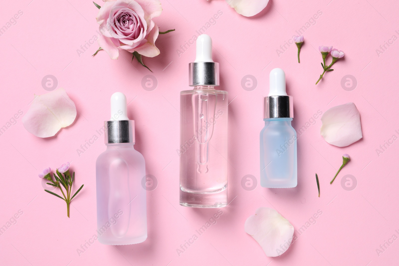 Photo of Bottles of cosmetic serums, flowers and petals on pink background, flat lay