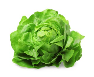 Photo of Fresh green butter lettuce head isolated on white